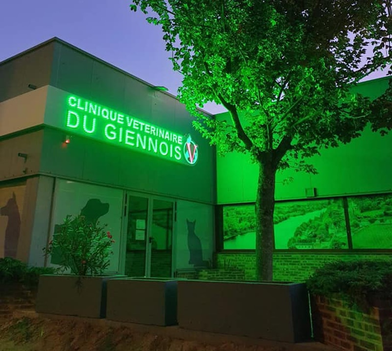 veterinaire-enseigne-lumineuse-gien